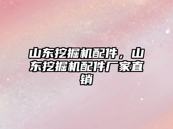 山东挖掘机配件，山东挖掘机配件厂家直销